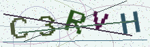 Security code image